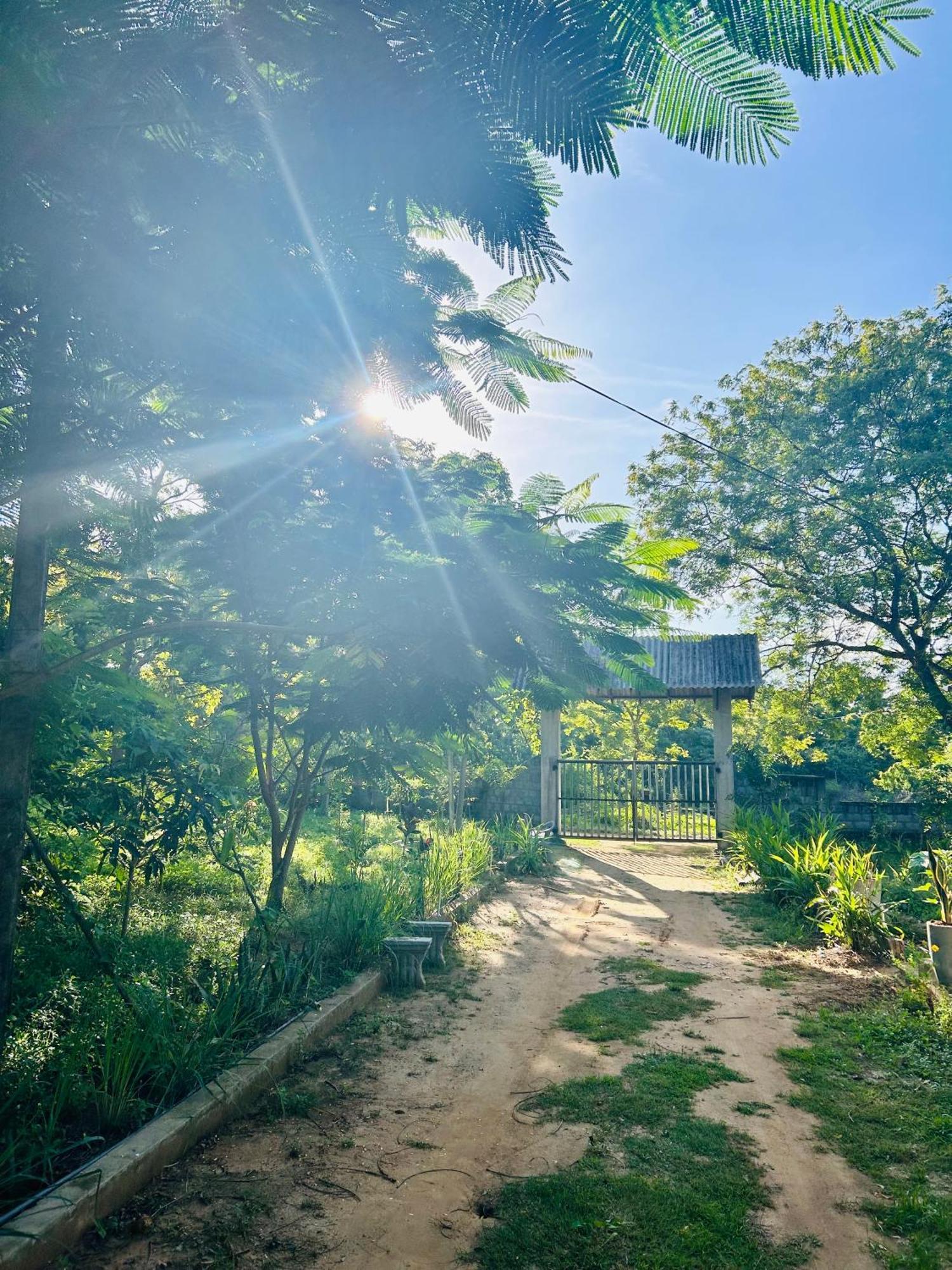 Neem Holiday Bungalow Yala 티사마하라마 외부 사진